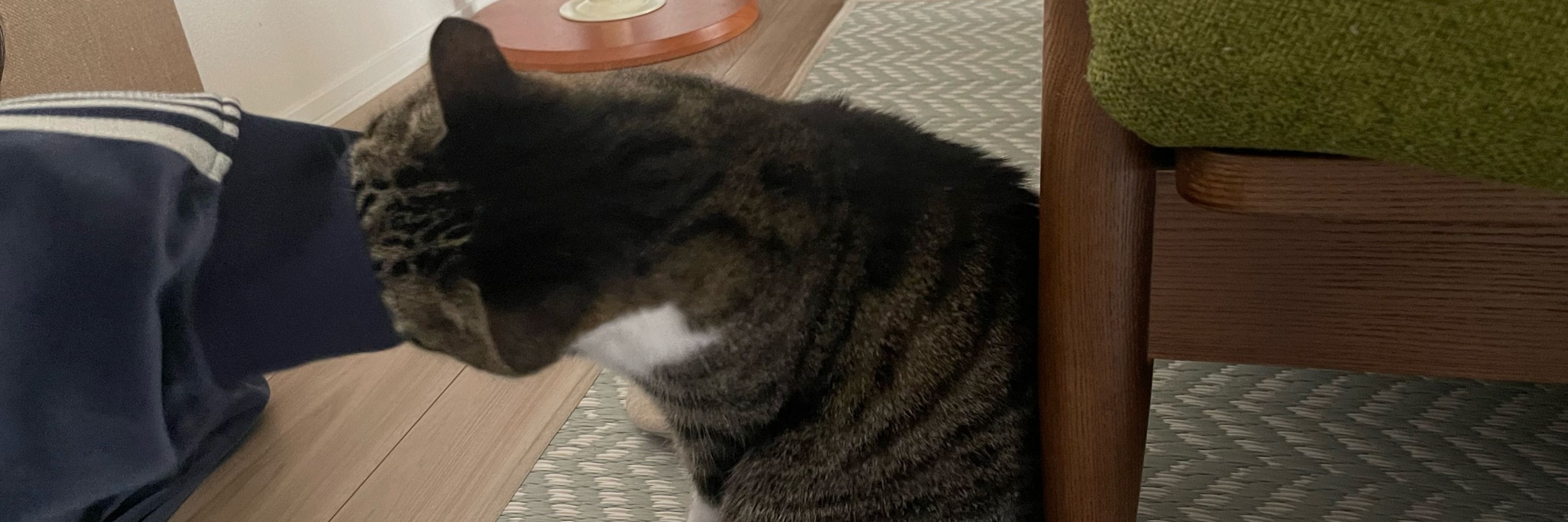ばんちょう