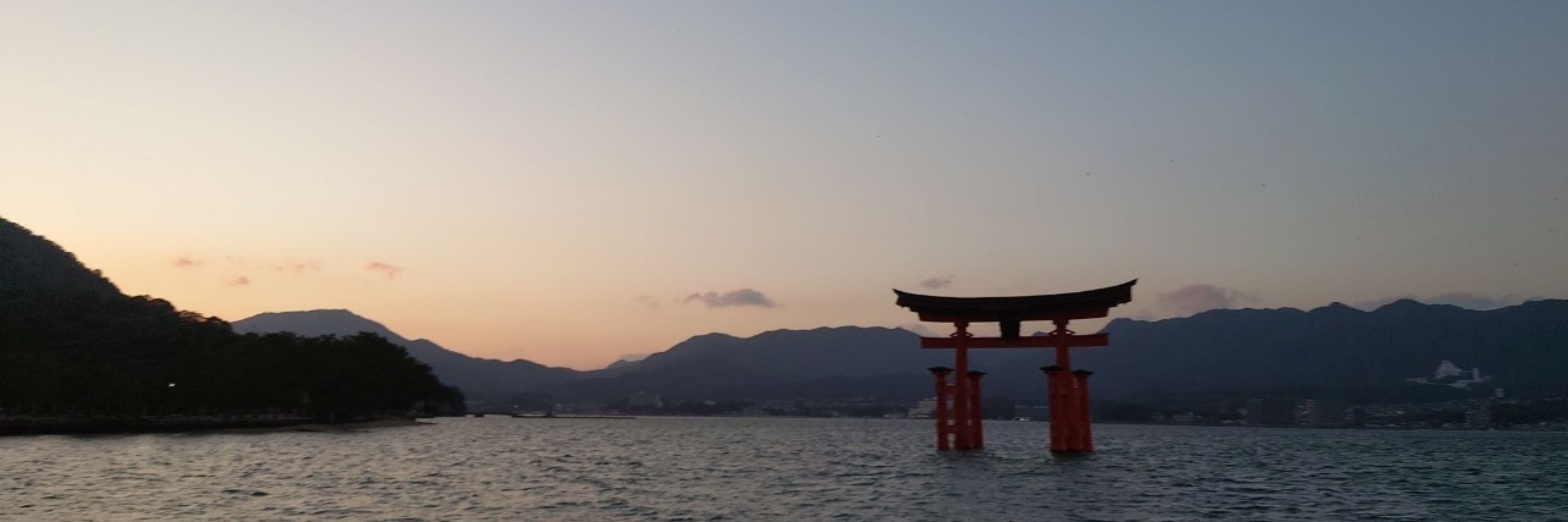 のりかもしれない
