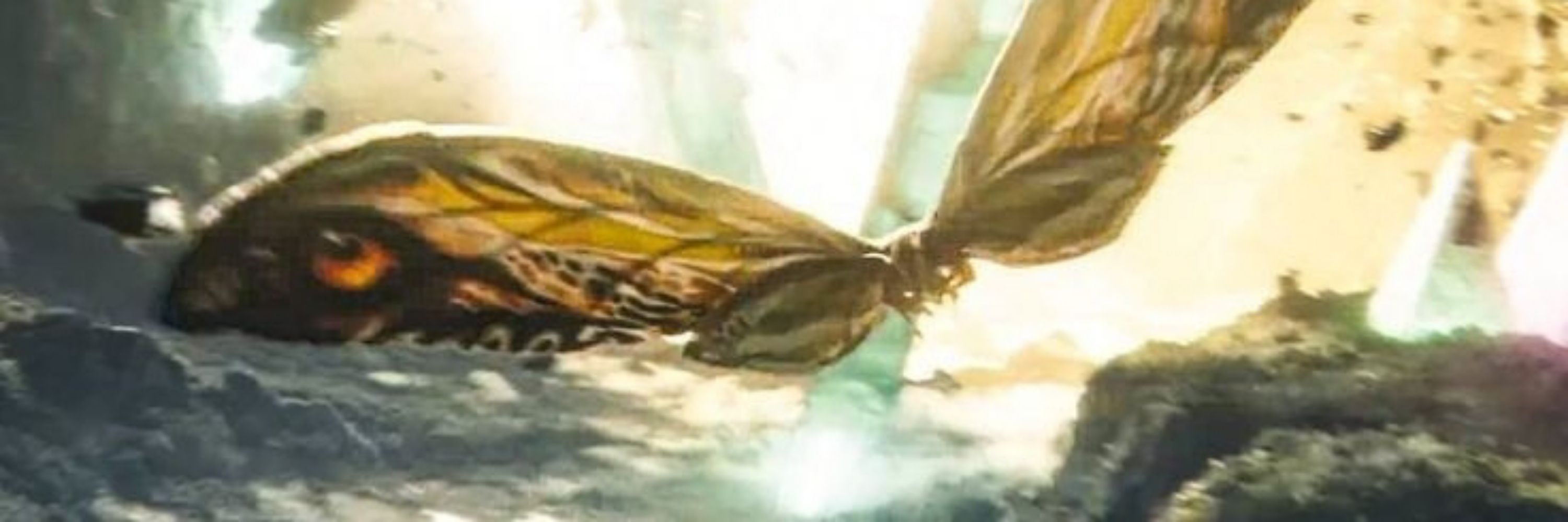 Todo Dia Mothra