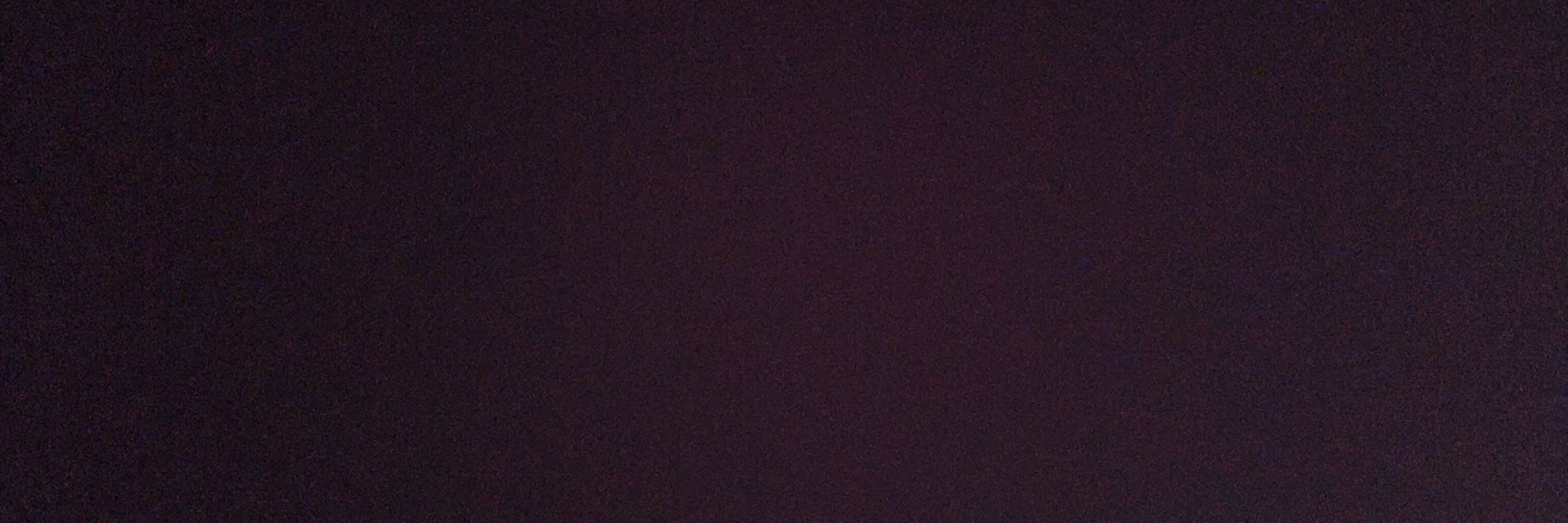 リズ