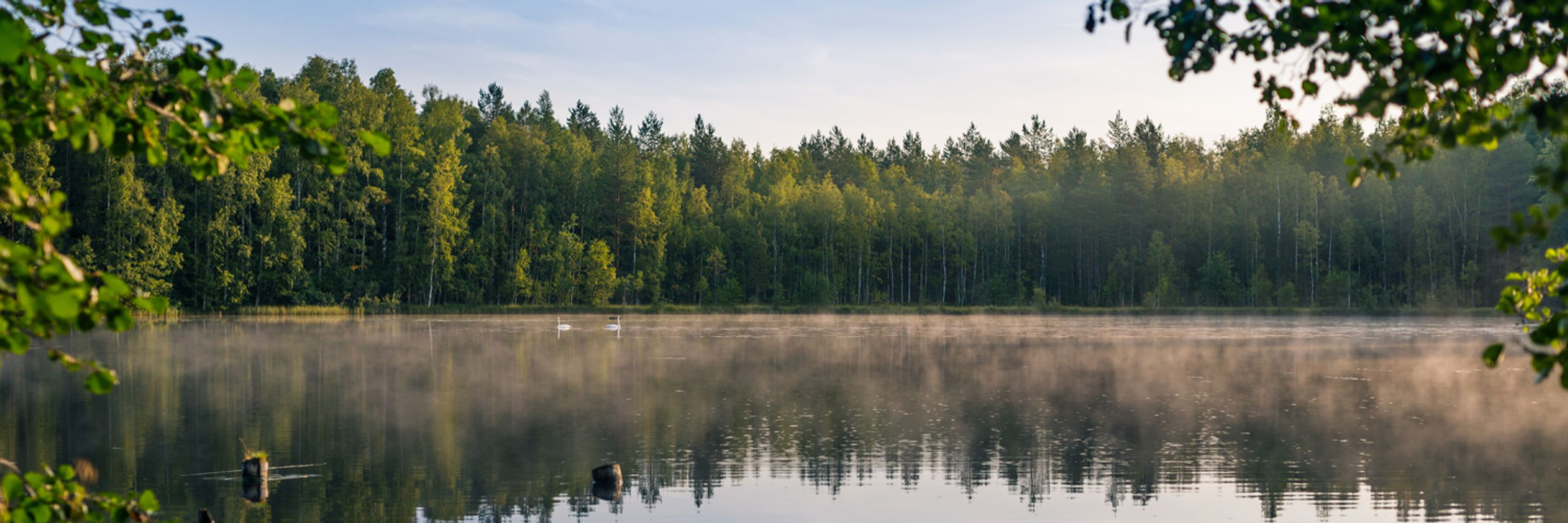Maa- ja metsätatalousministeriö