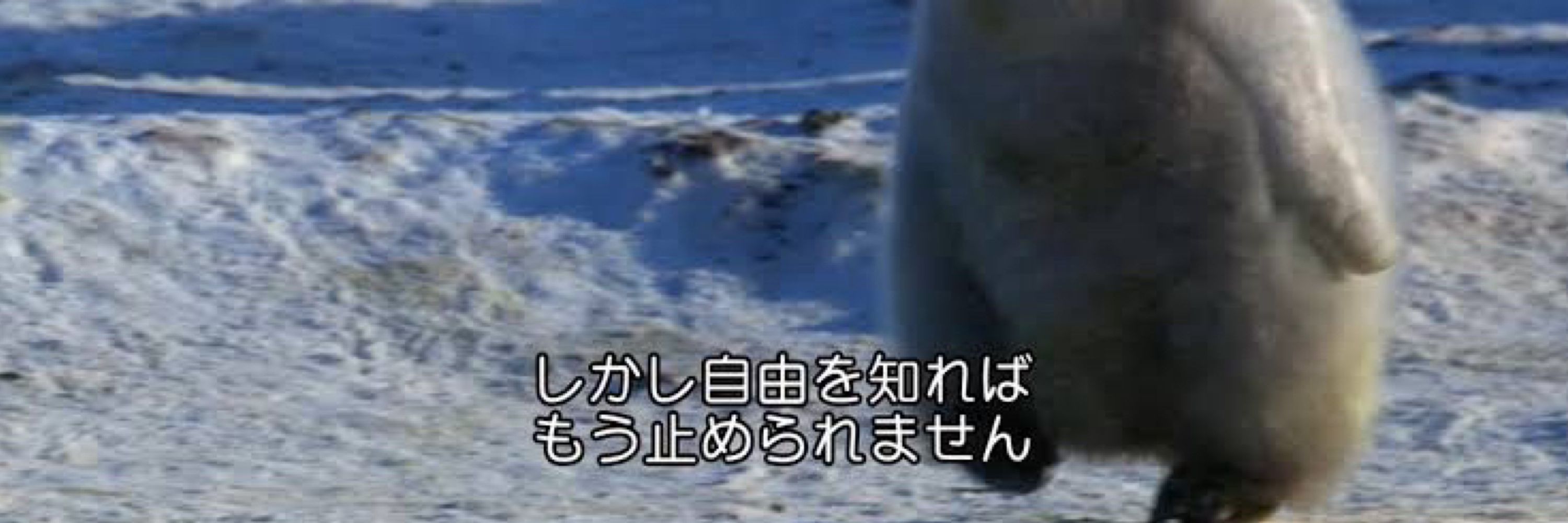 ペギンン