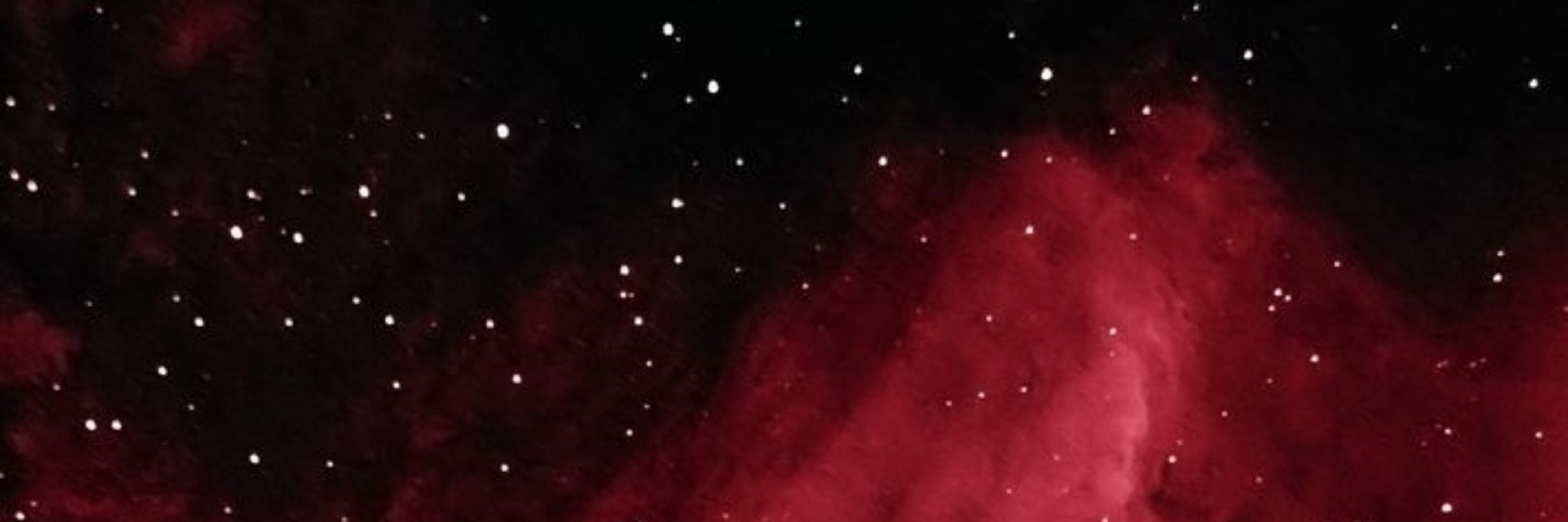 Profile banner