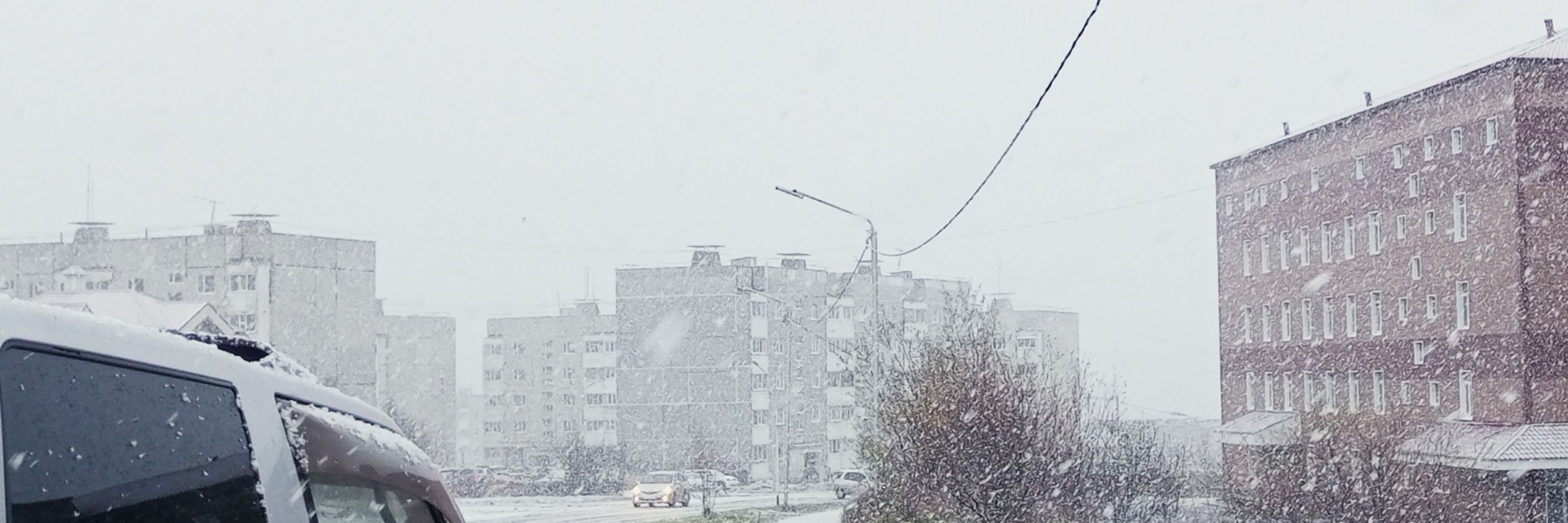 rifz_24degrees