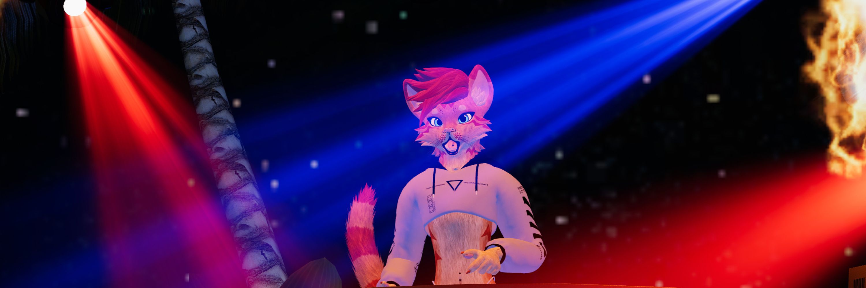 🐱 🔜 MFF