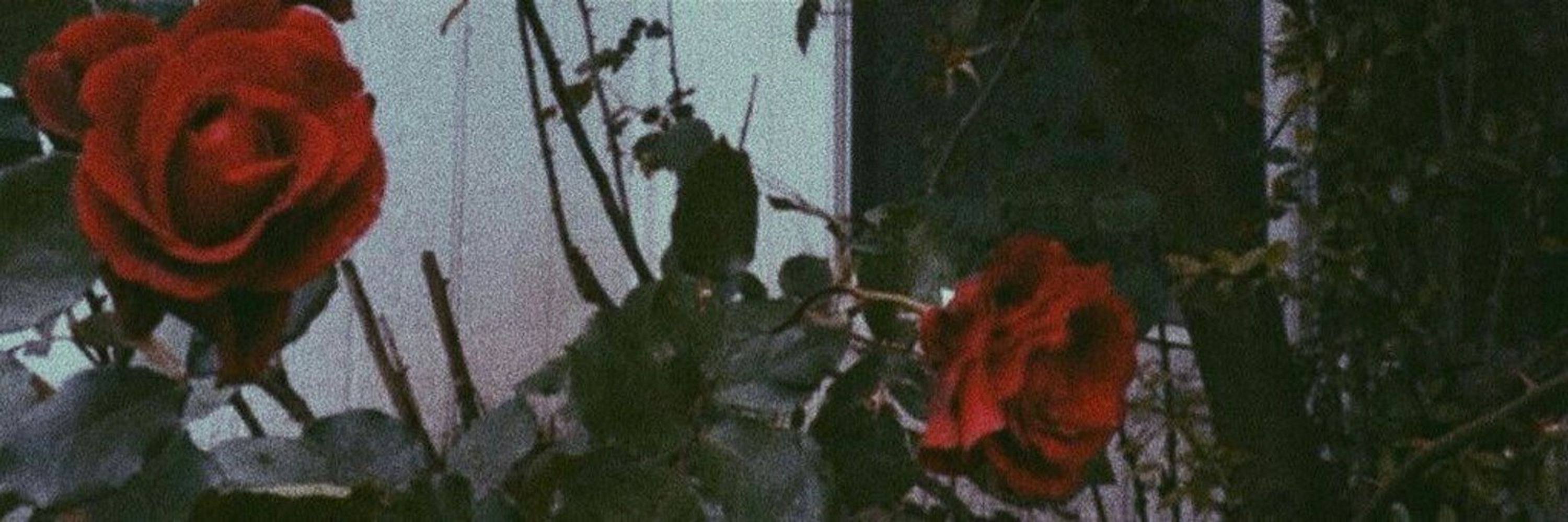 🥀
