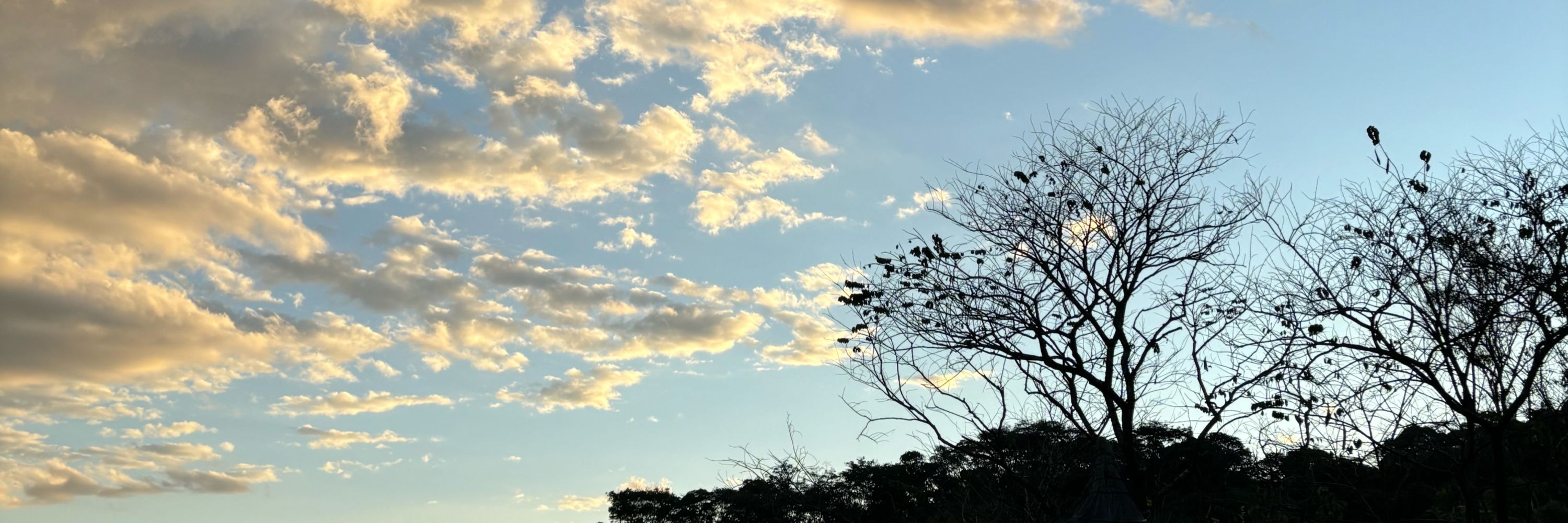 Thaís ✨