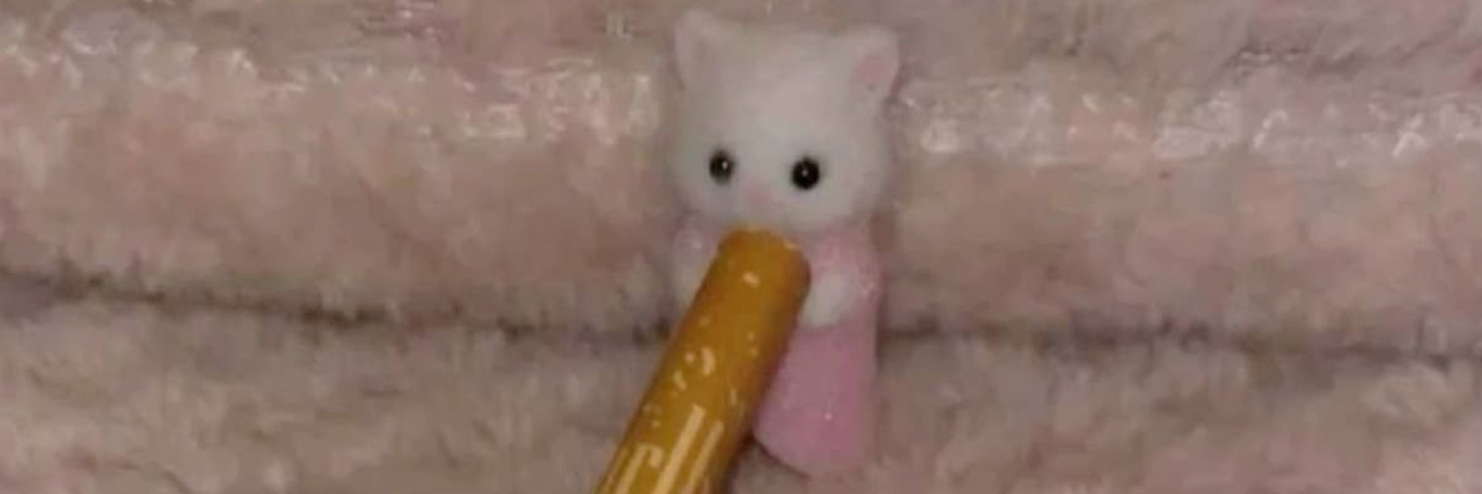 ceci