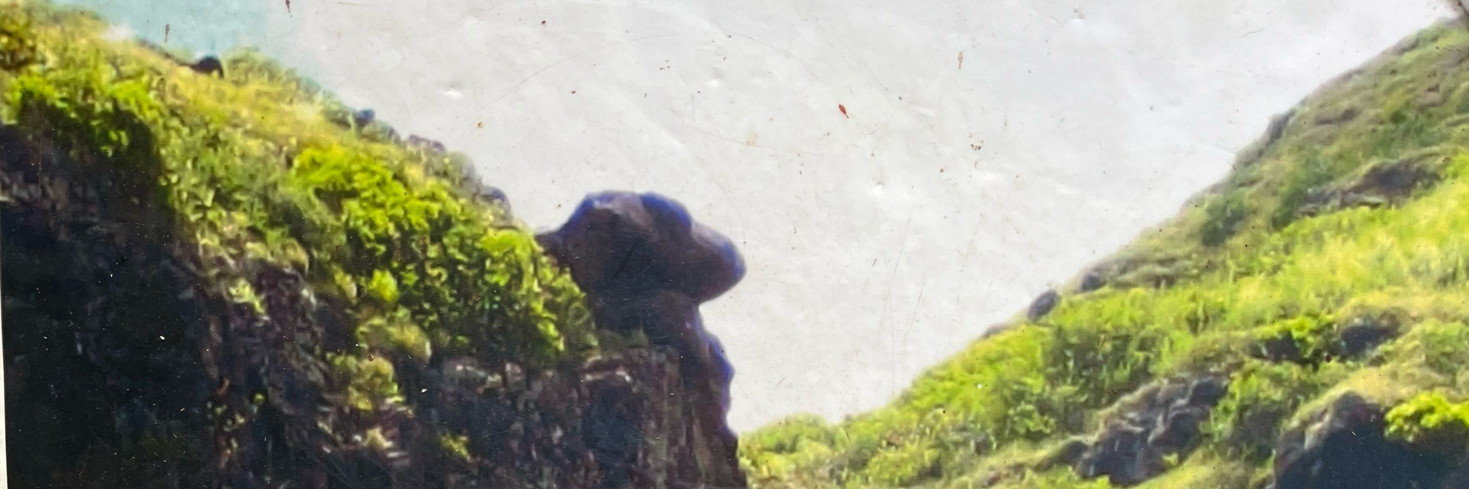 Kumu Pa’a Nui Lawrence Aki