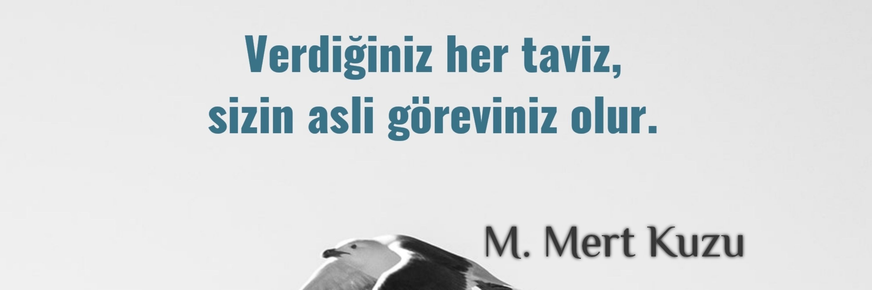 M. Mert Kuzu