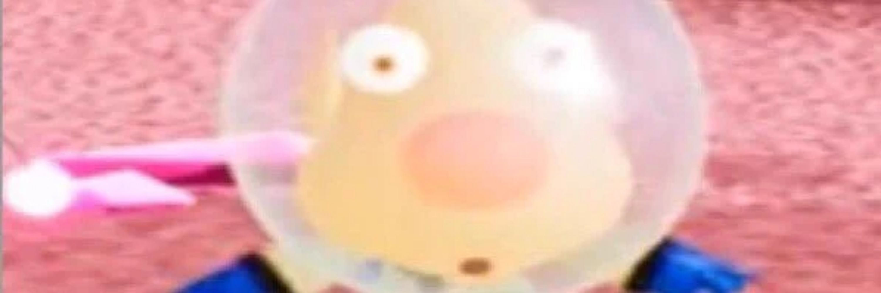Salamooch 