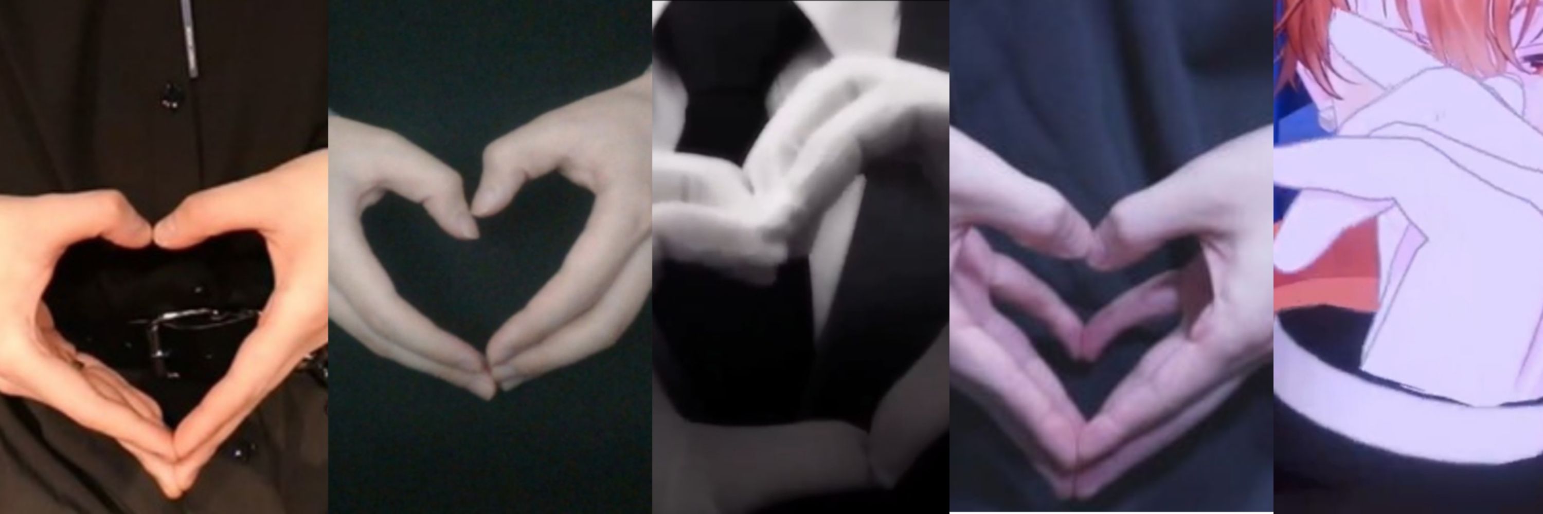 호이(hogahoi)
