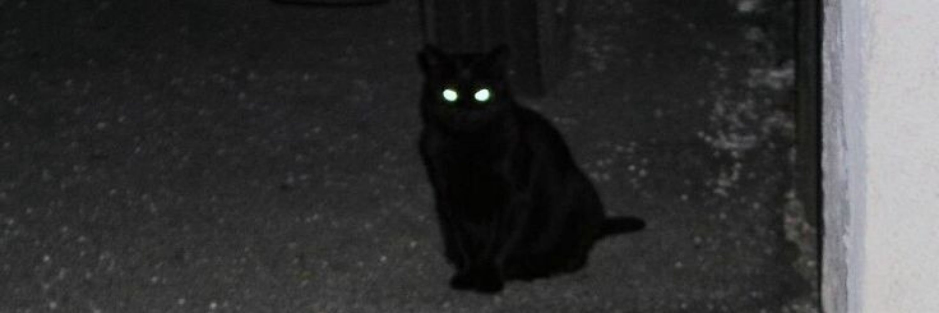 Sr.YORU 