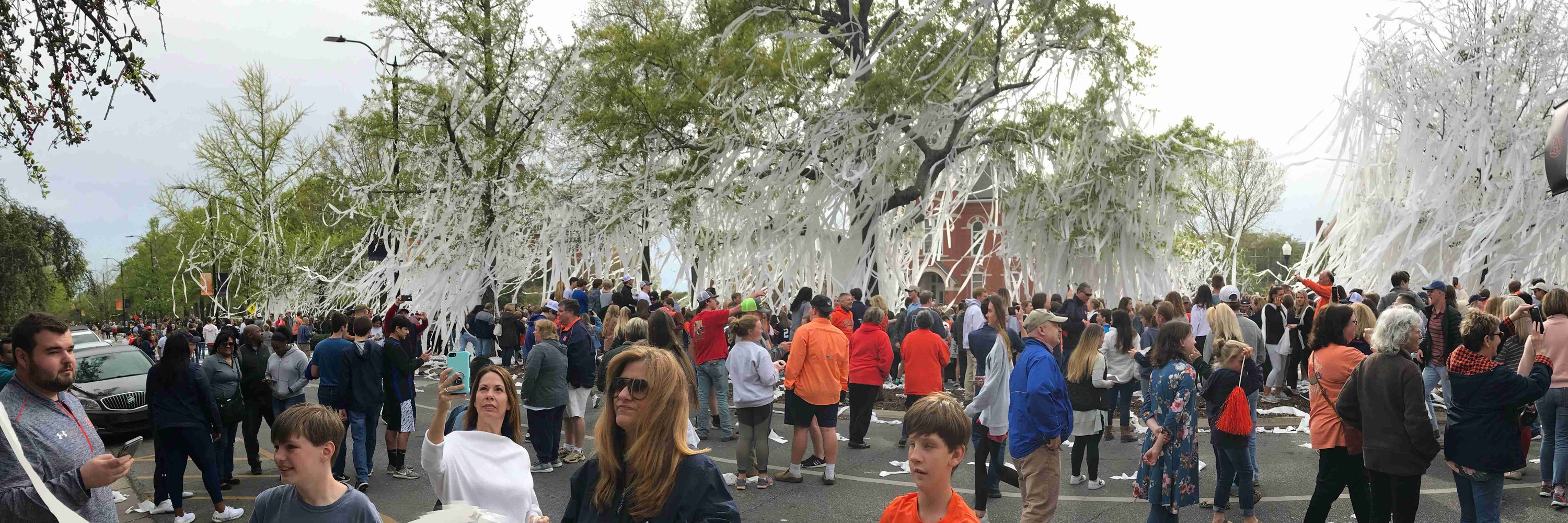 David In Auburn