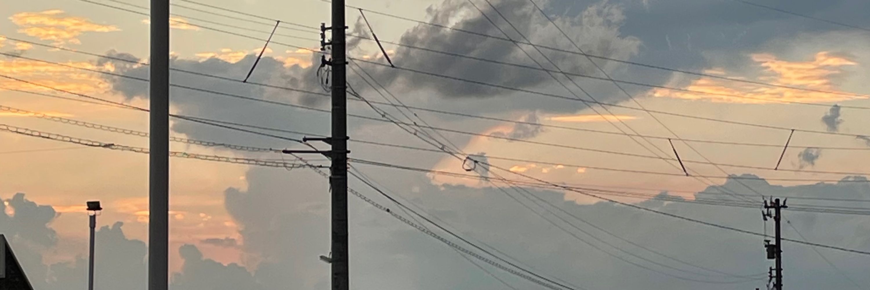 たいしょー