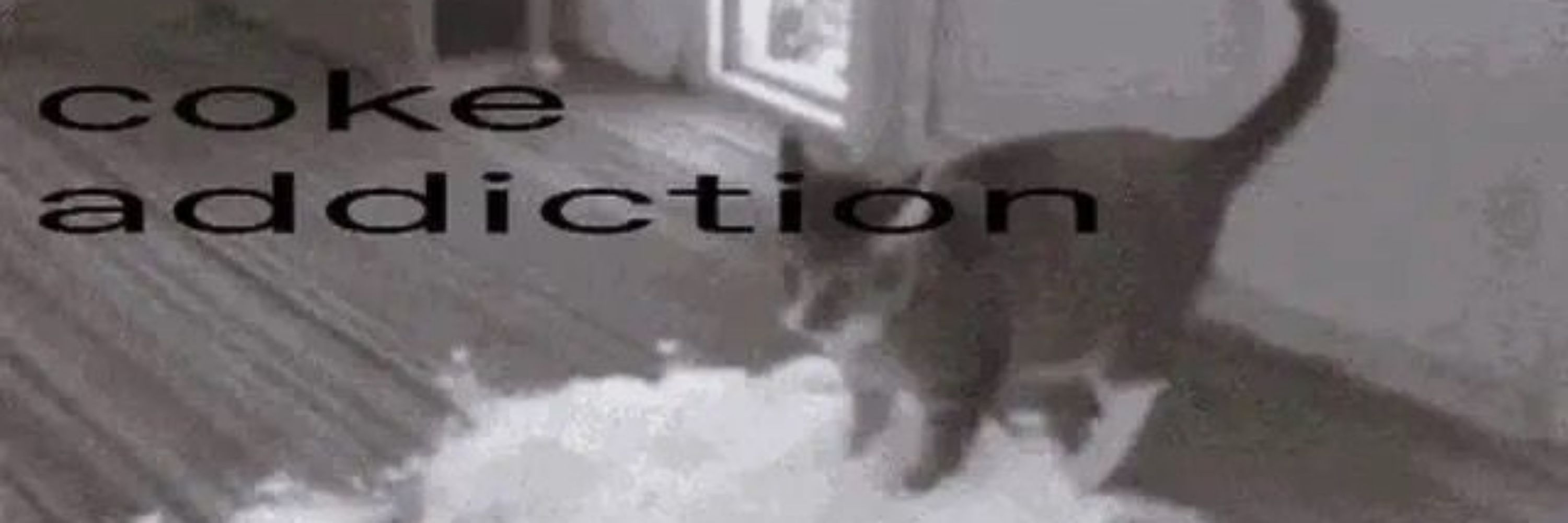 🦴