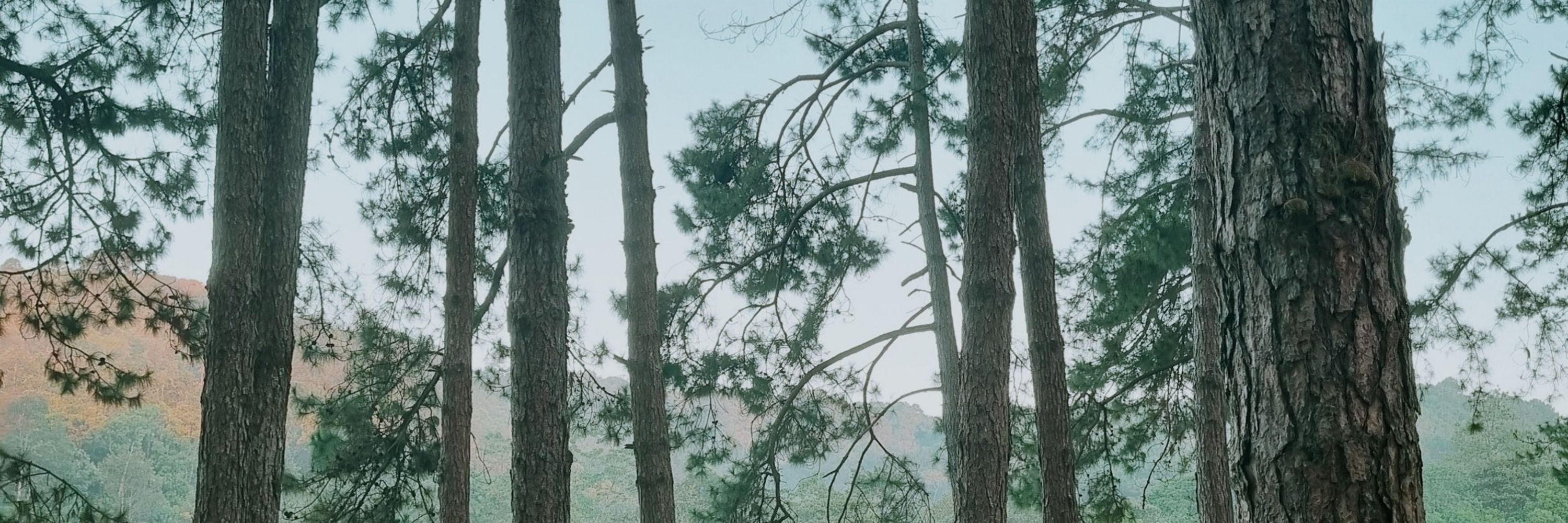 侑冬☁️