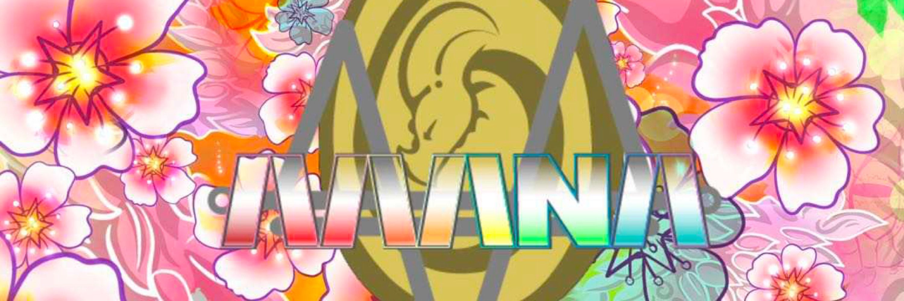 MANA Bear Bolton