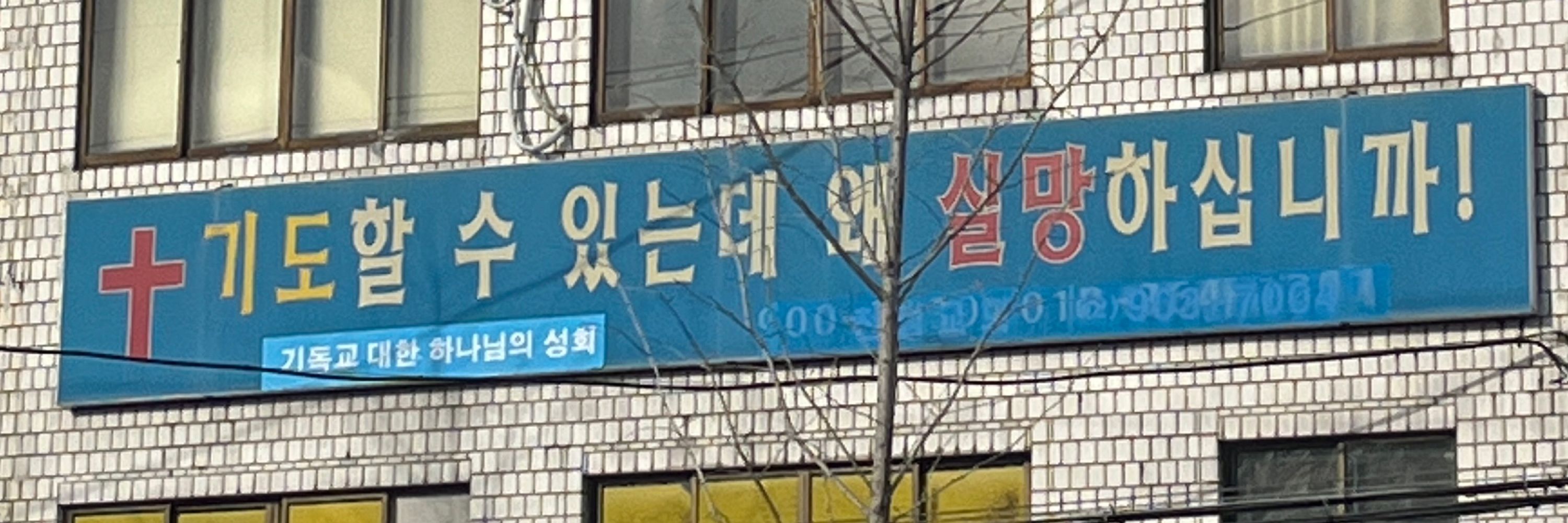 승아
