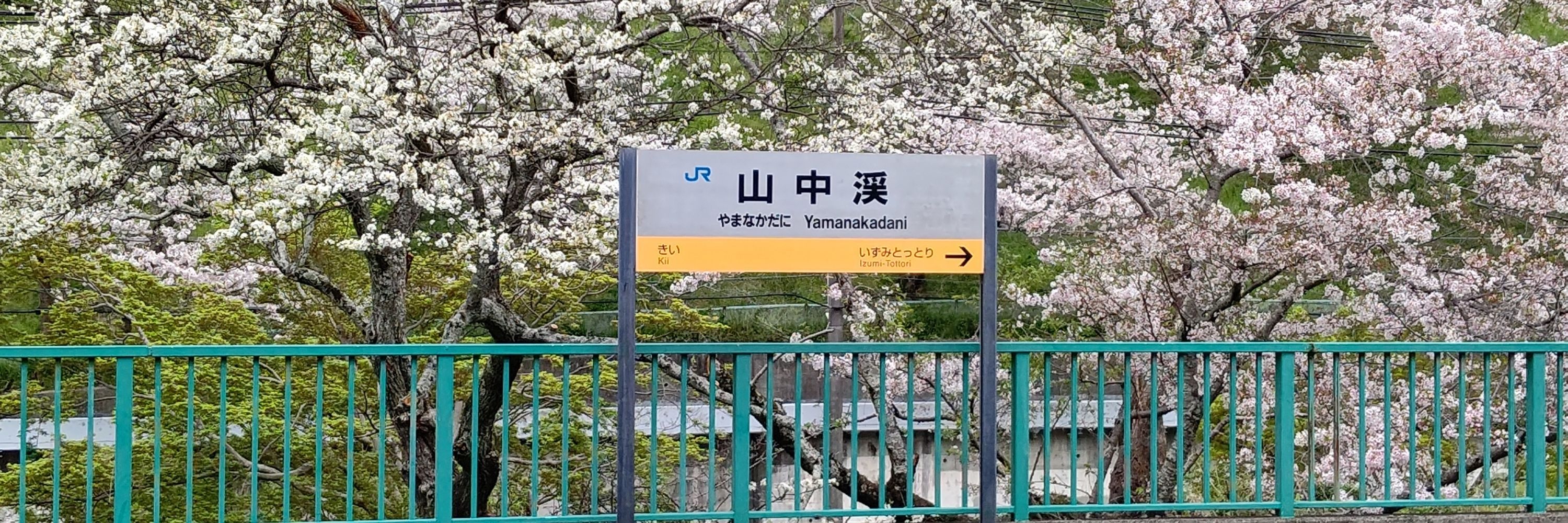 アッズーロ