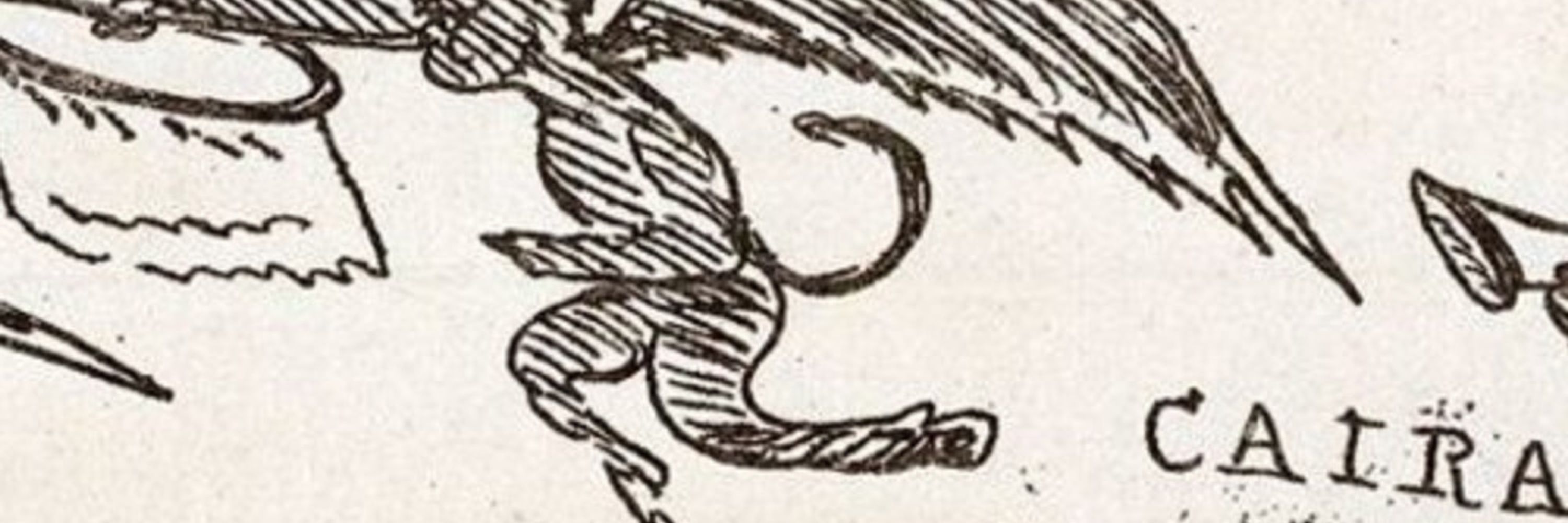Psilopteros