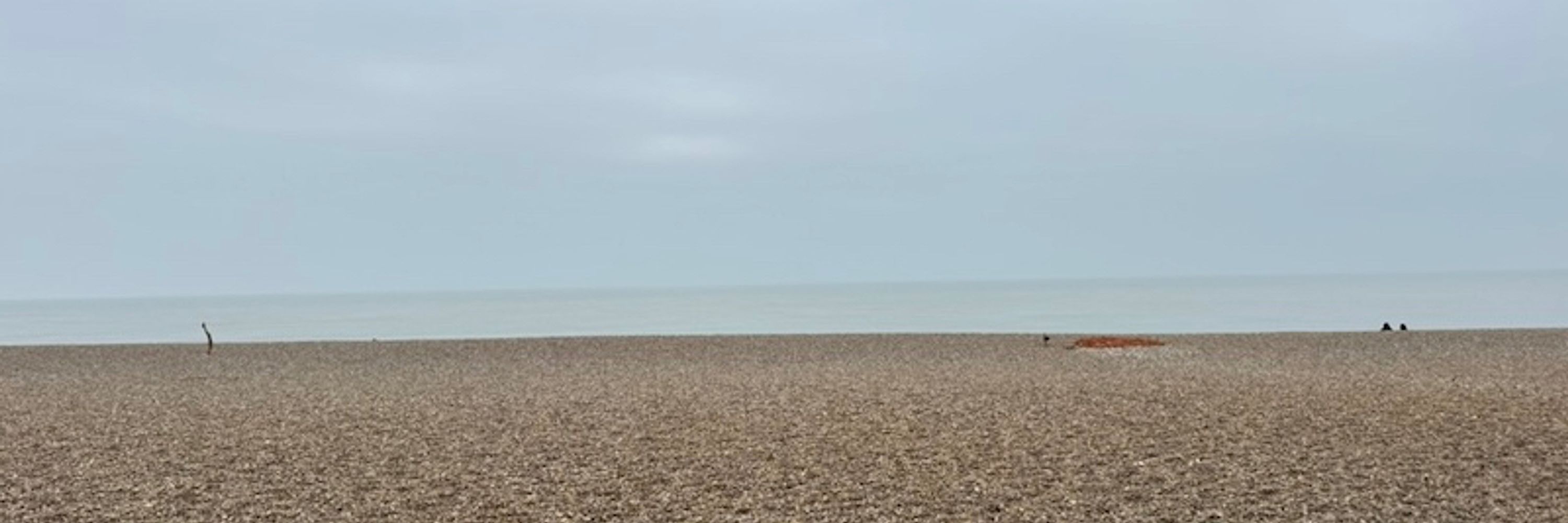 Andrew Foster