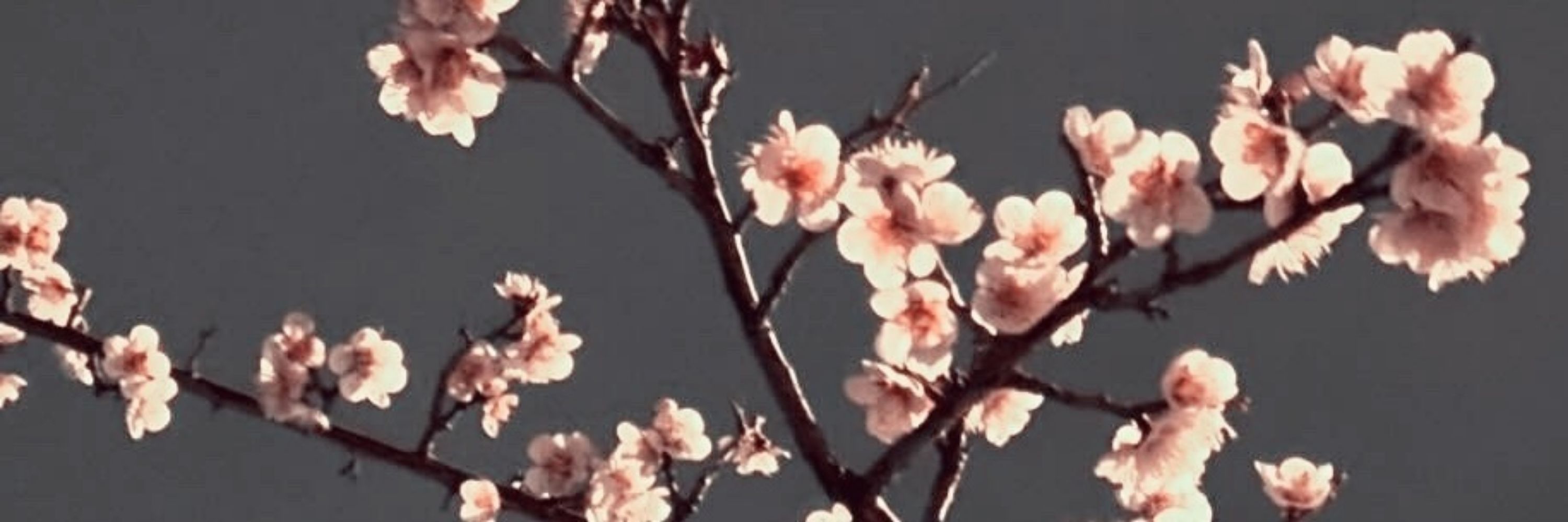 beᡣ𐭩