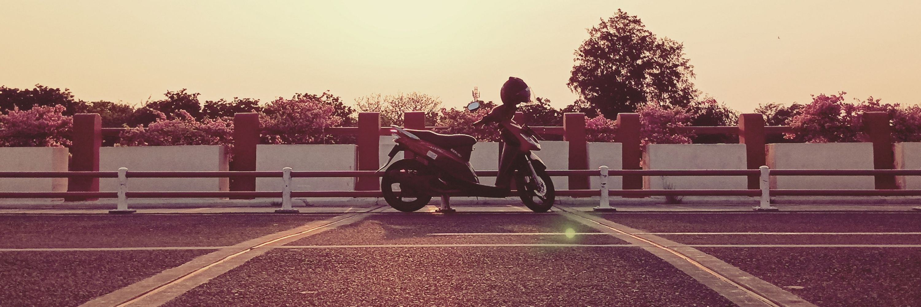 ムクチ