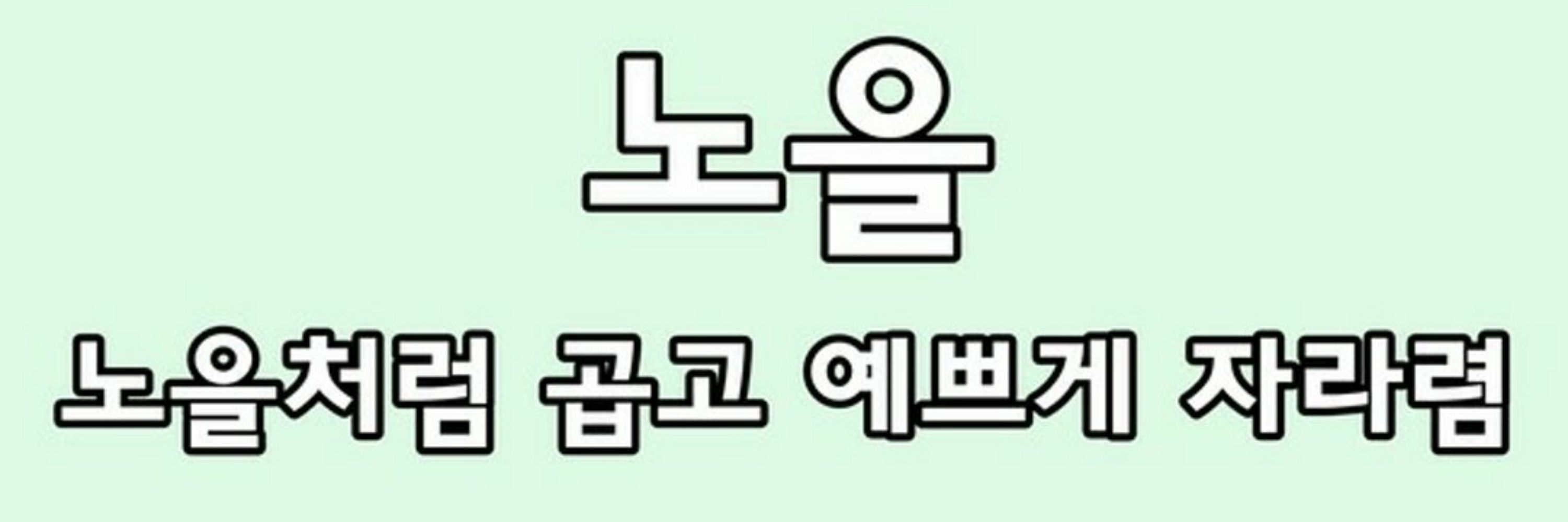 찹쌀떡