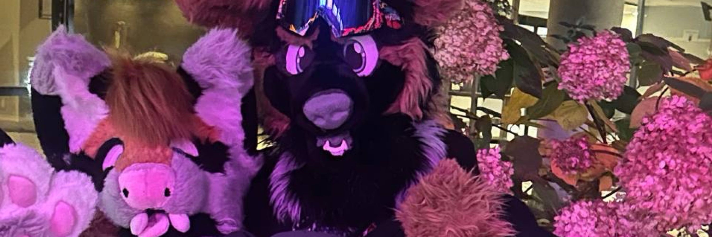 ChevyShep🔜NYFB🔜ANE