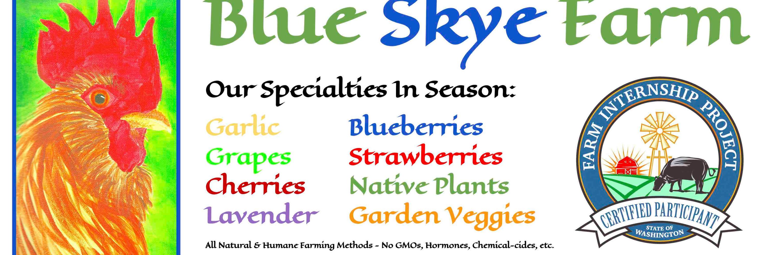 Blue Skye Farm