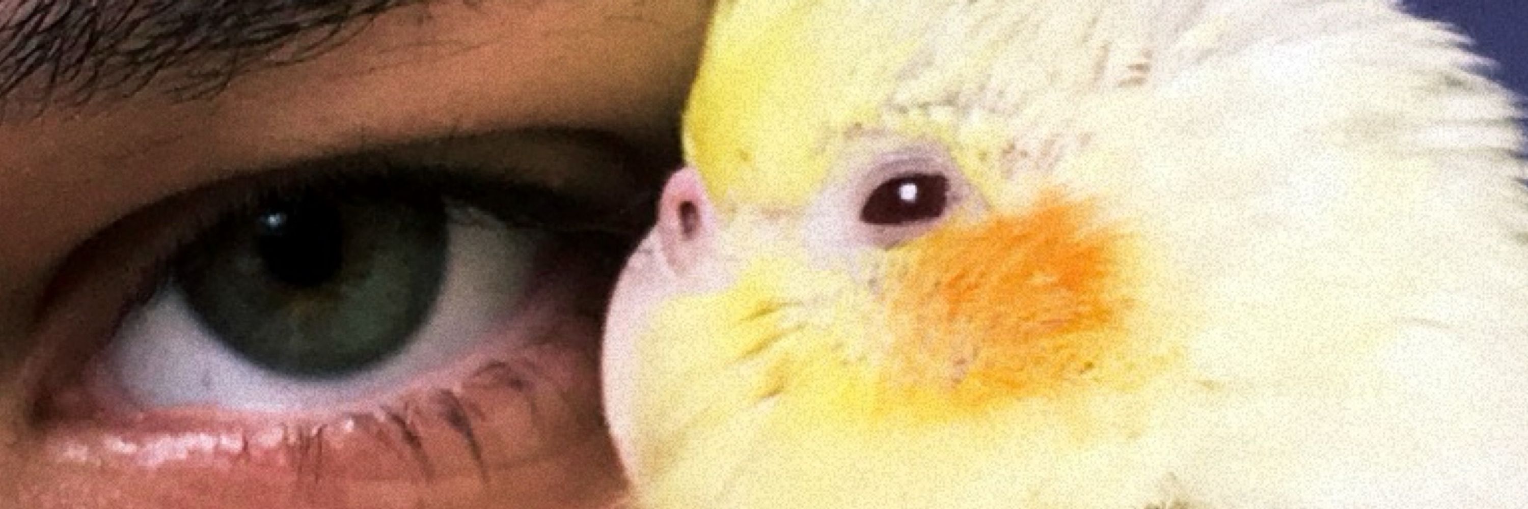 anaju 💋