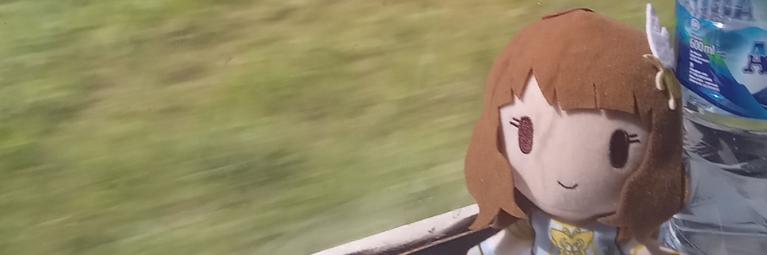 ＥＸトンチップ
