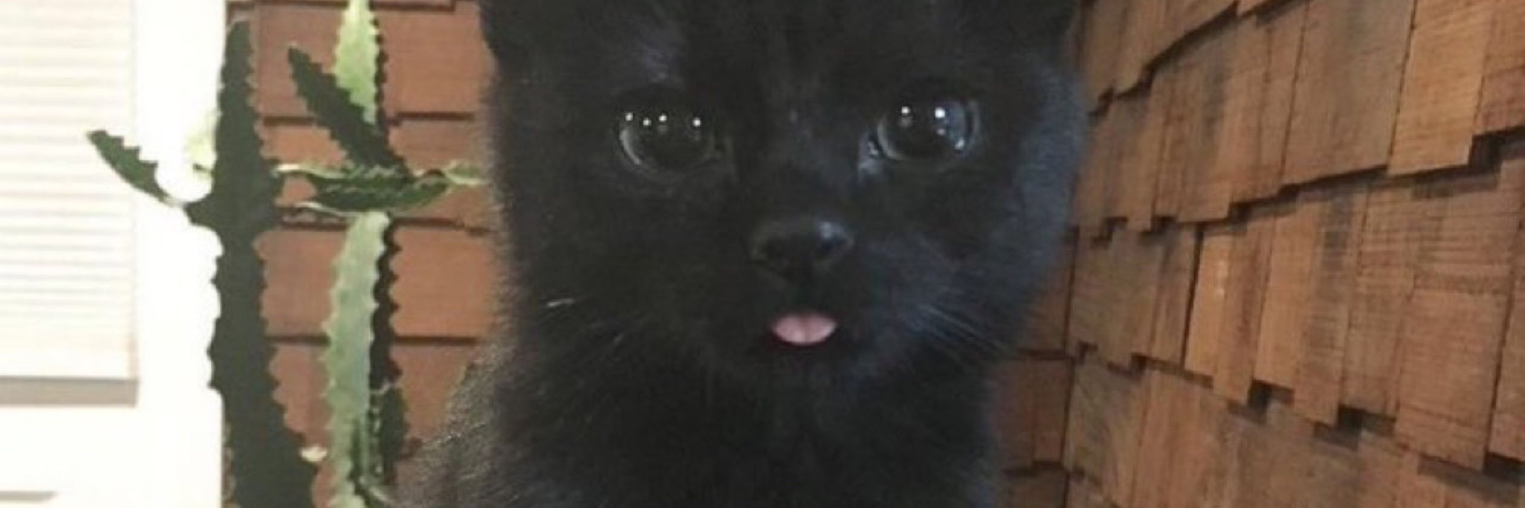 bil
