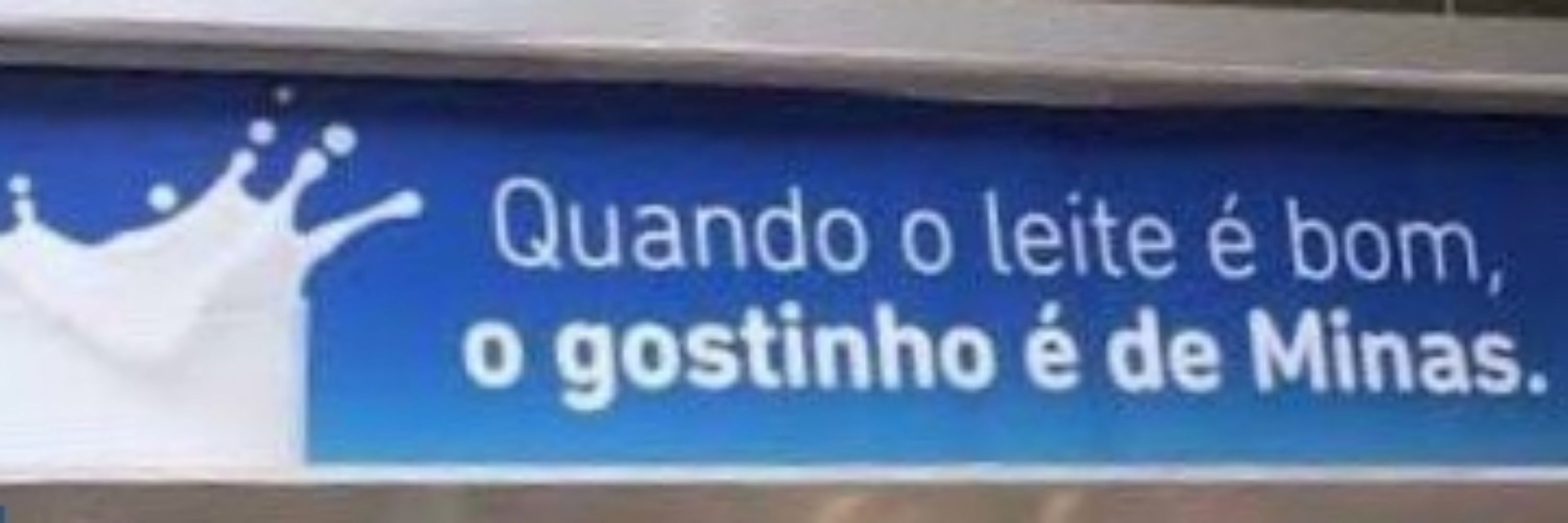 Ursinho nada carinhoso 
