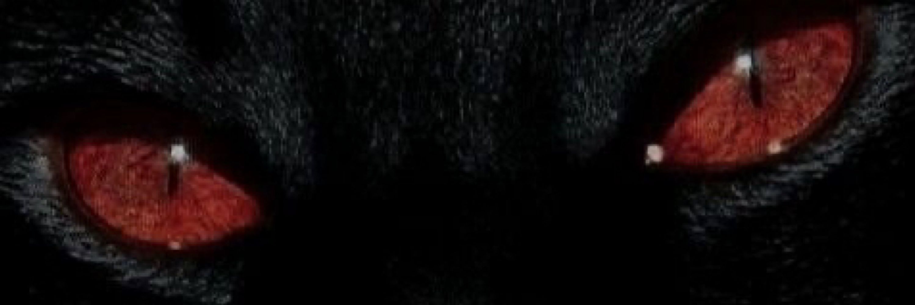 脑