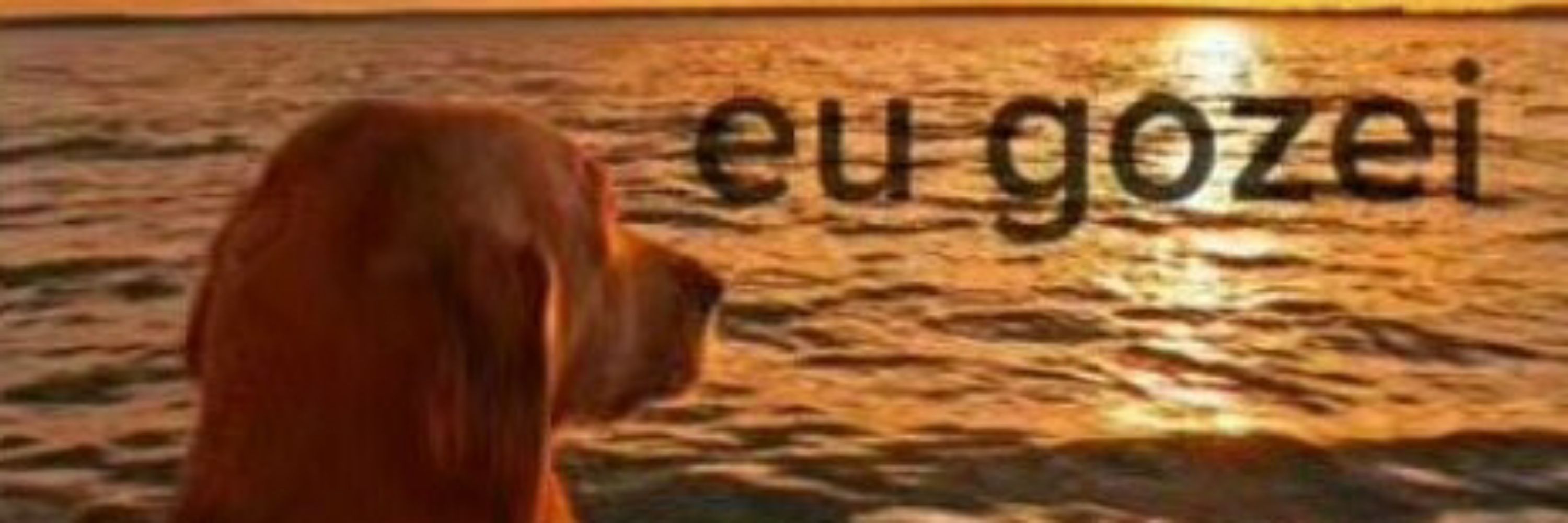 Luccaixu