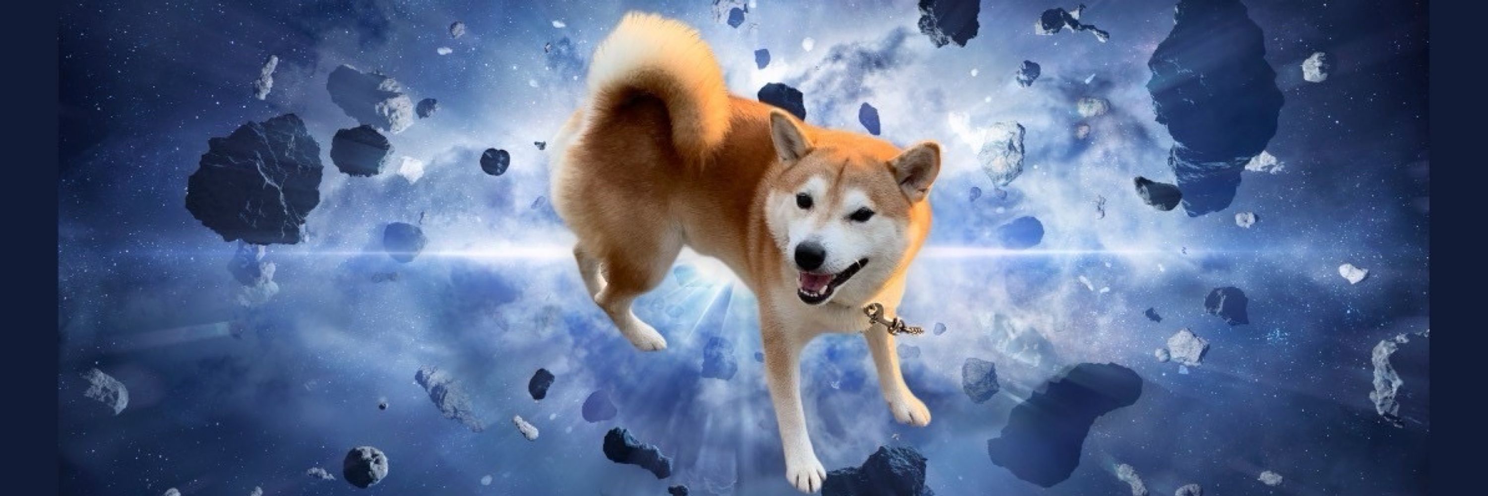 ももた