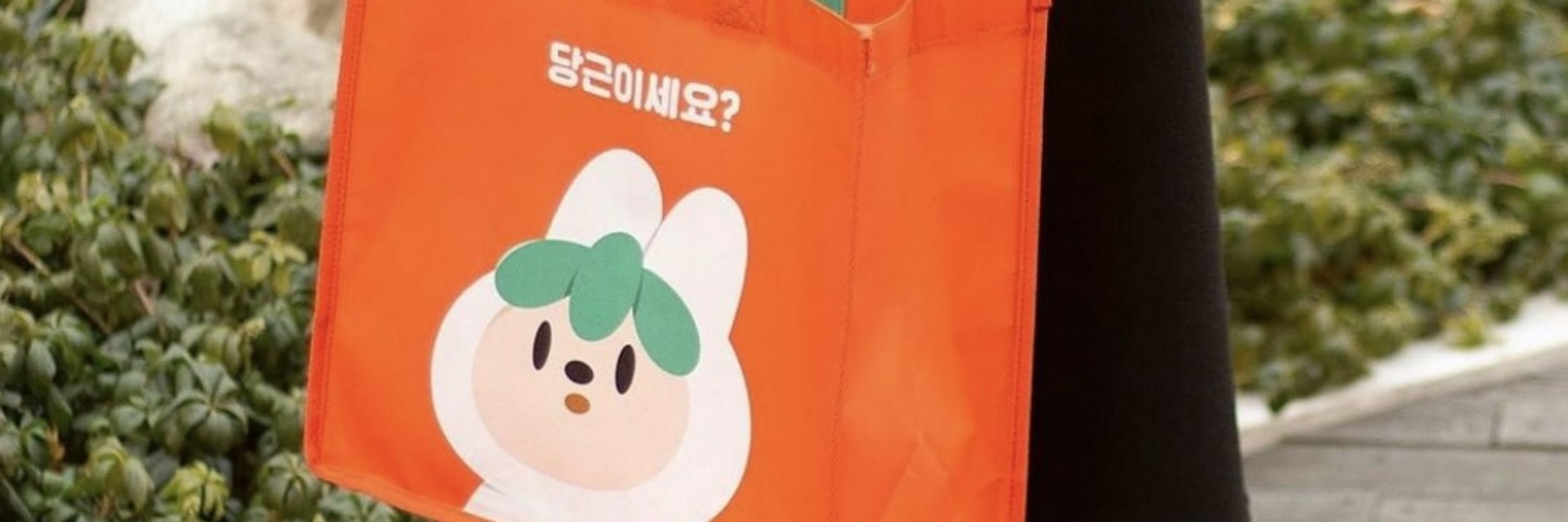 당근이세요?