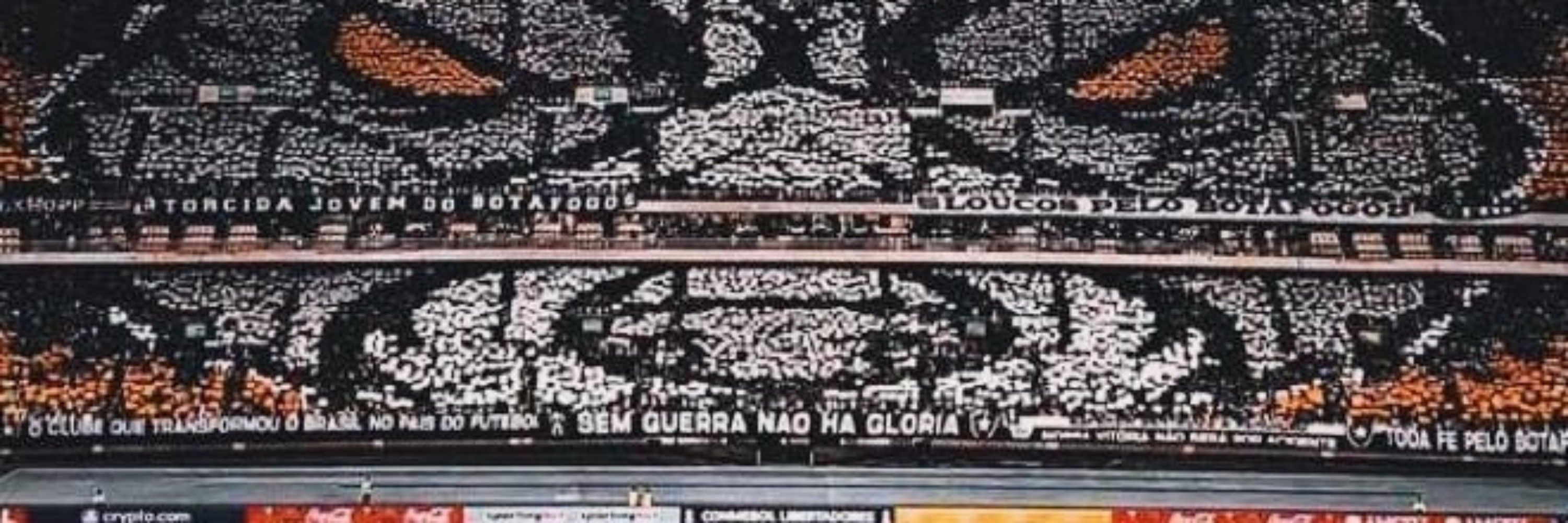 🇵🇸 🥋 MMarinho7 🔥⭐️🔥