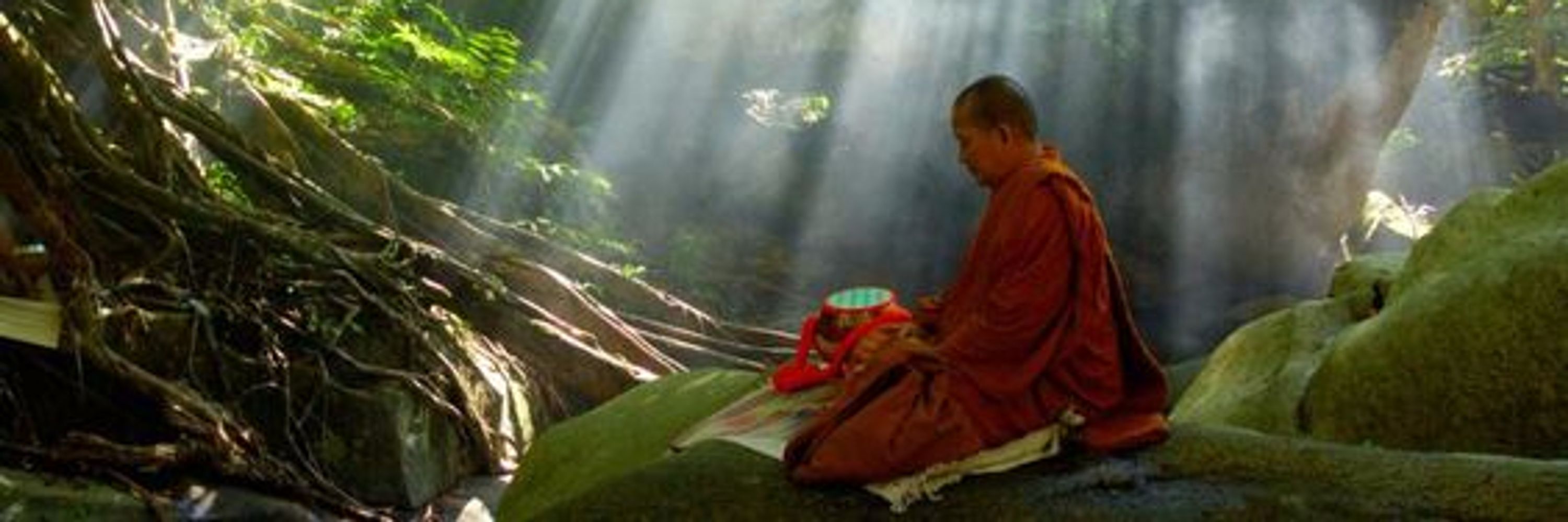 Boundless Kindness