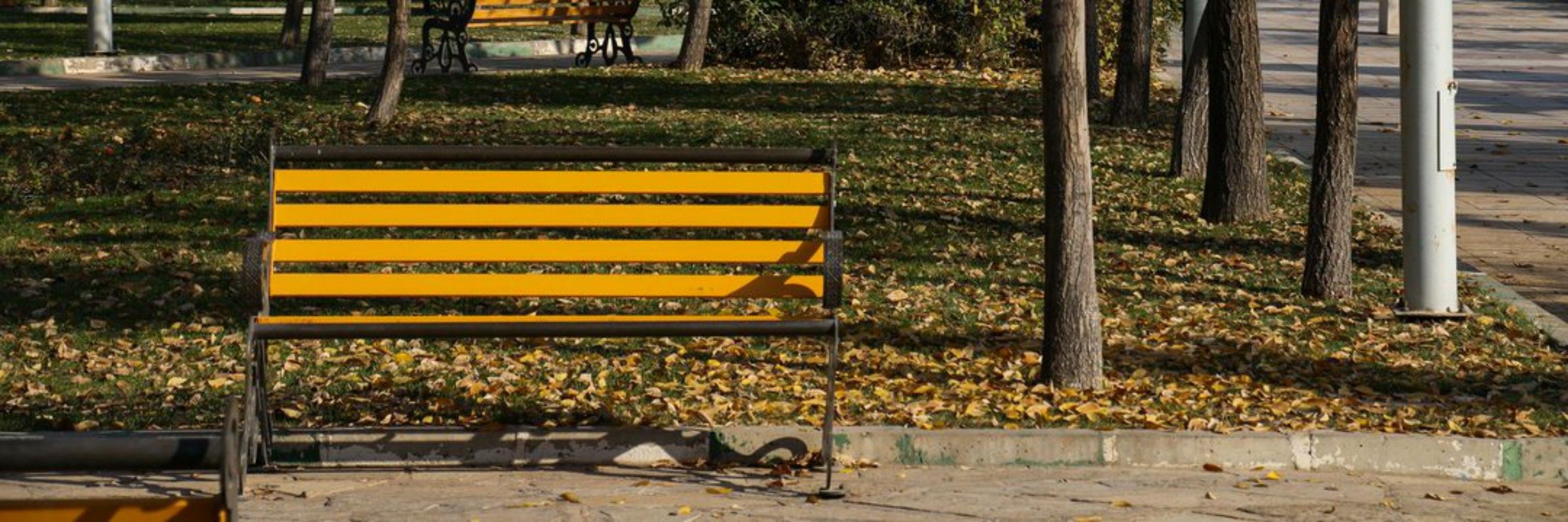 محمدحسین | رهگذر منطقی🔰