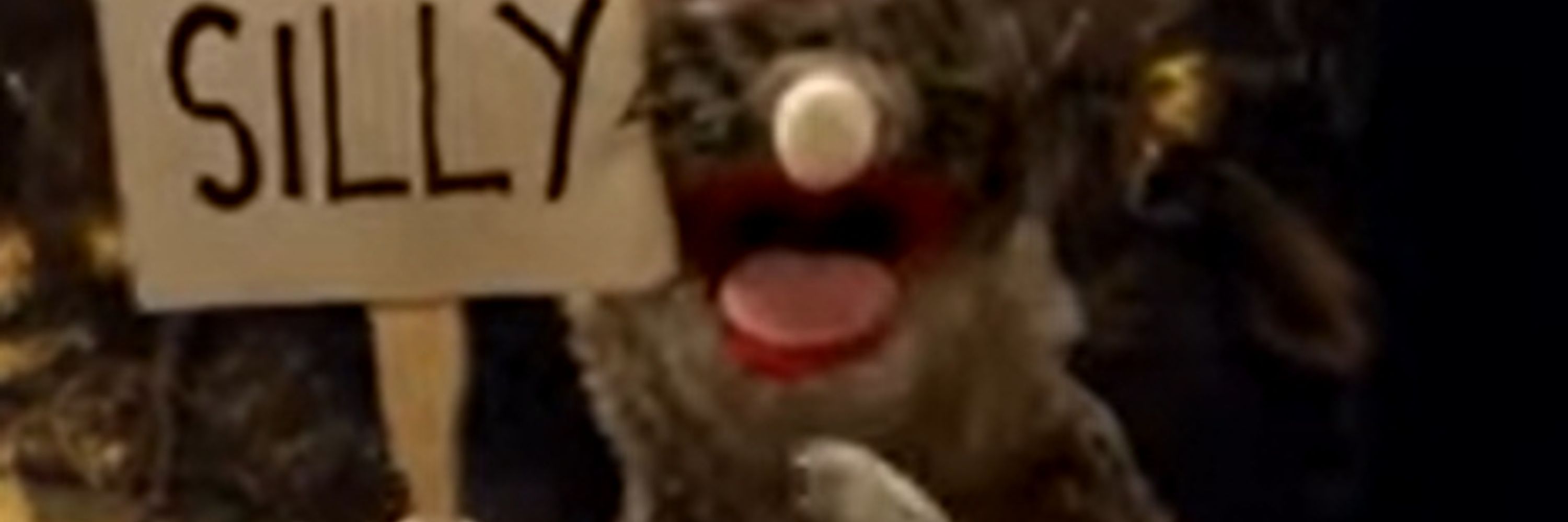 B_BAM