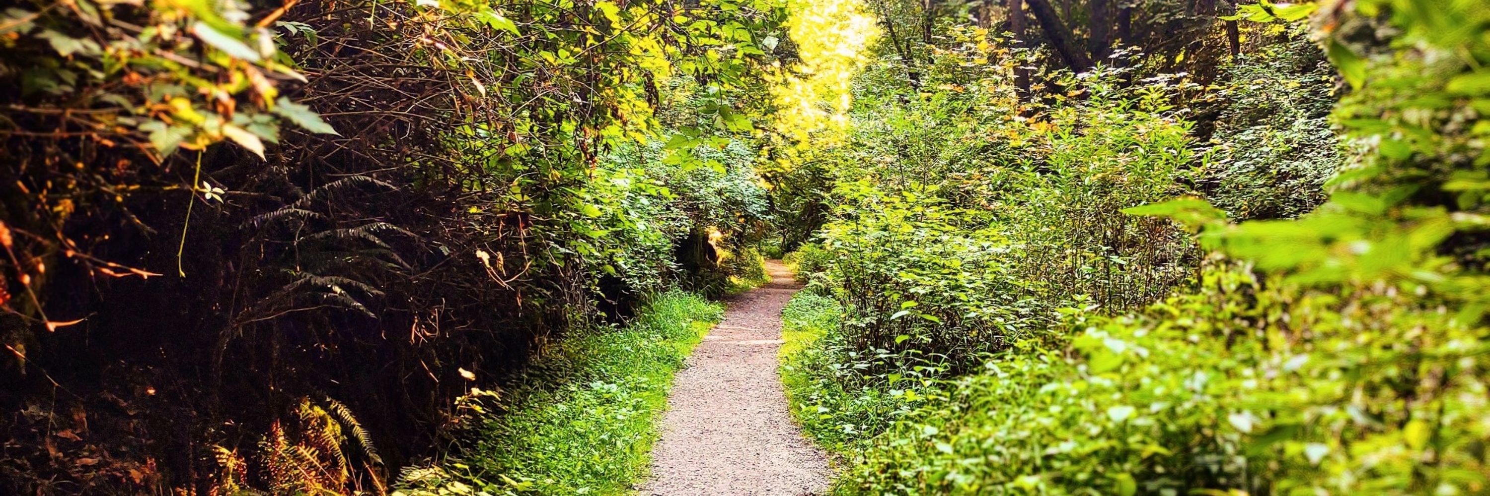 🌻🦴 ʀᴀᴘʜ ₥Ʉ₮₮ 🌲🐾