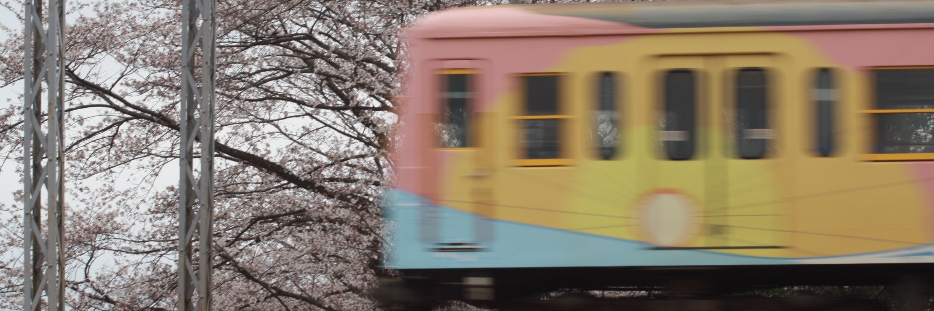 こんぴろ