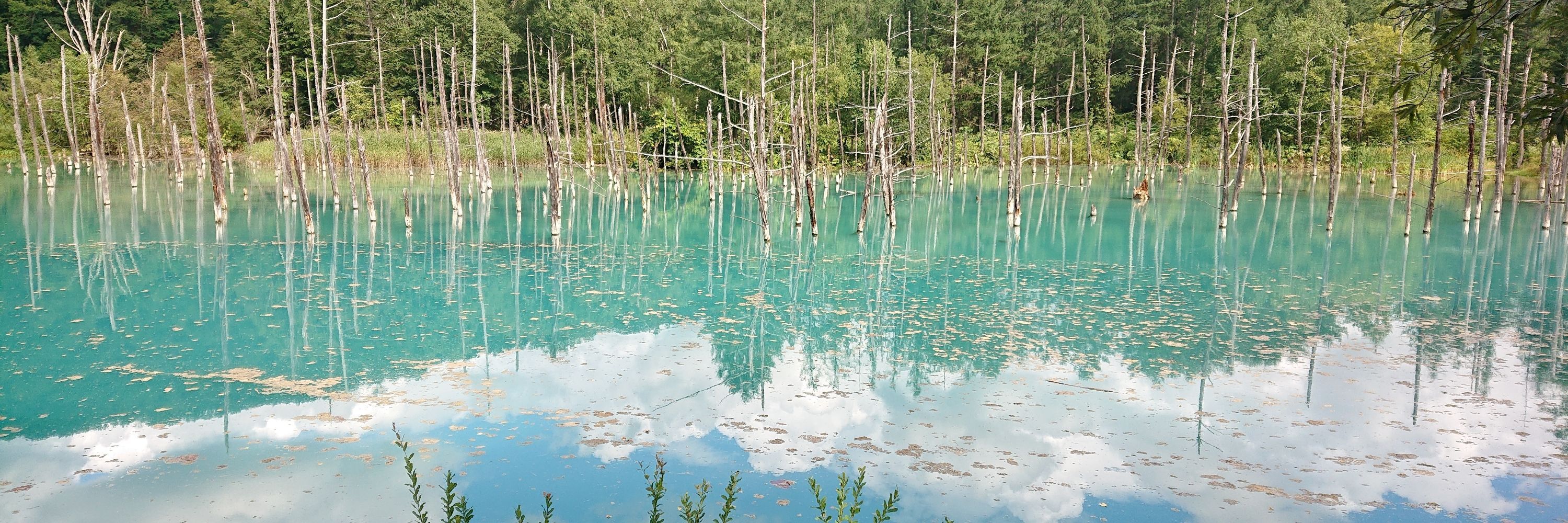 浅野