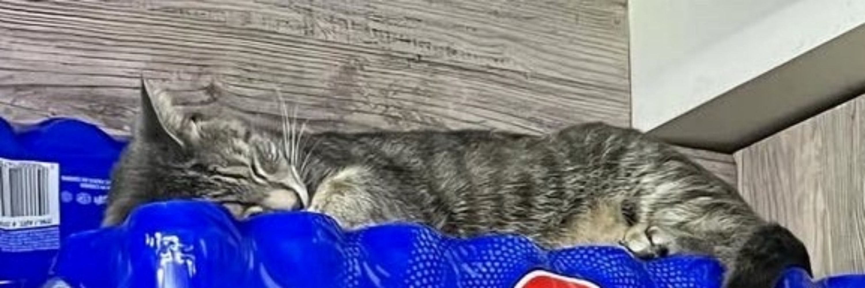Huh?