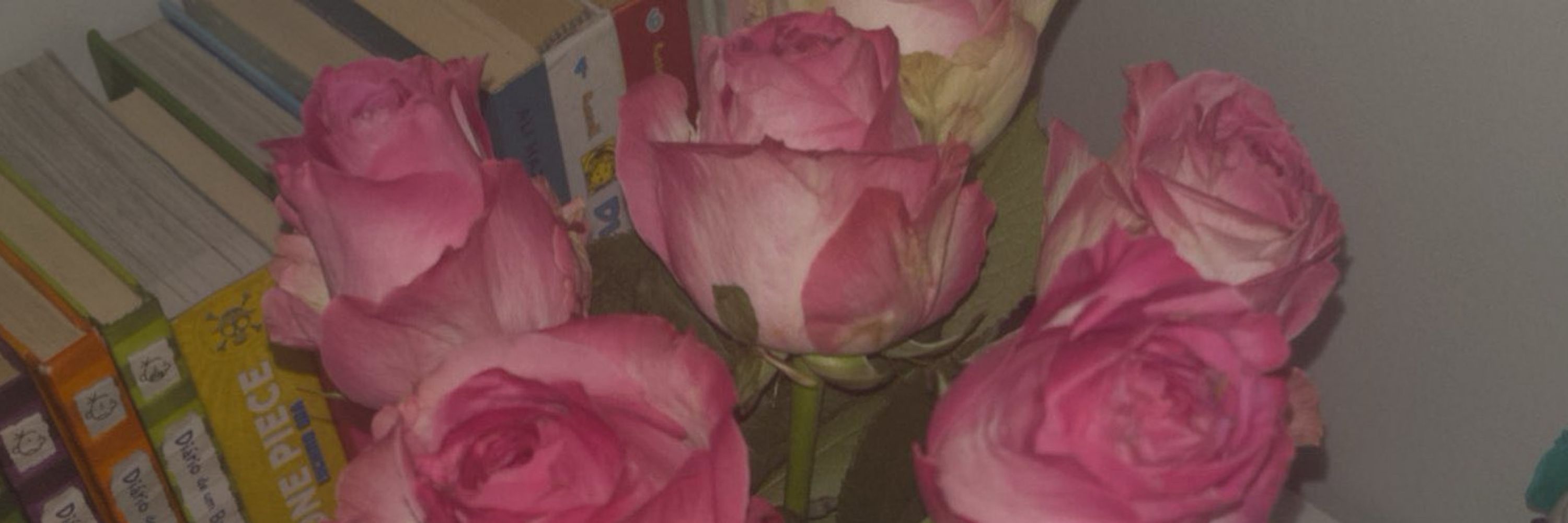 𝔰𝔬𝔭𝔥 🌷