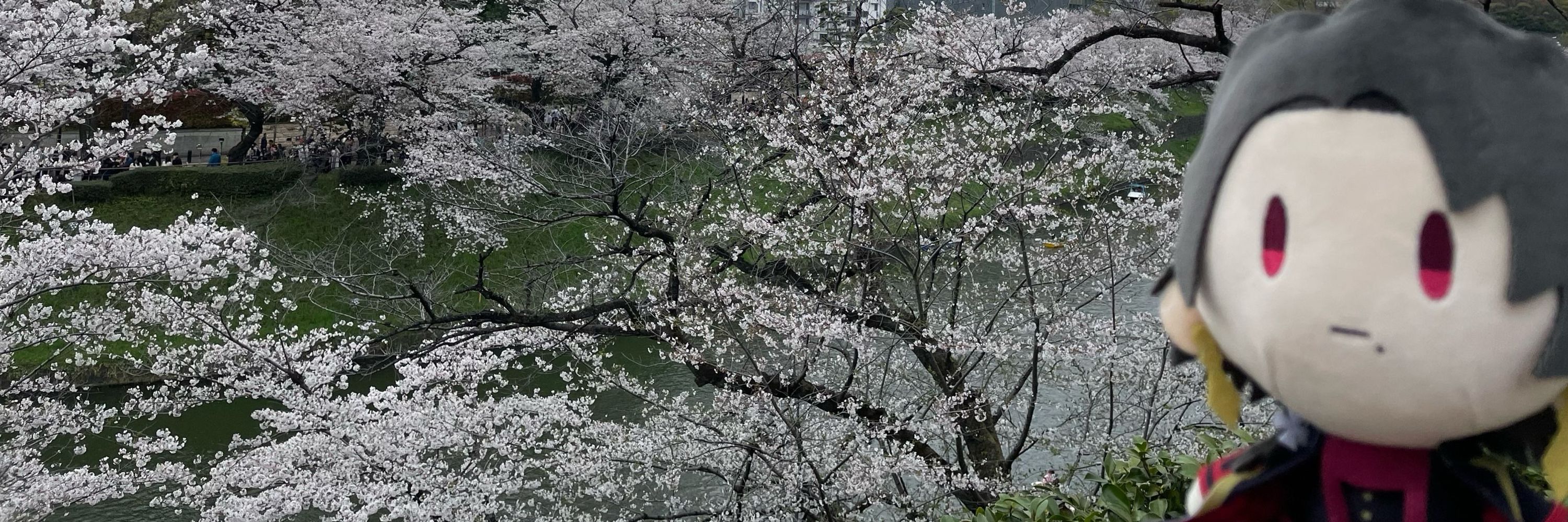 慧