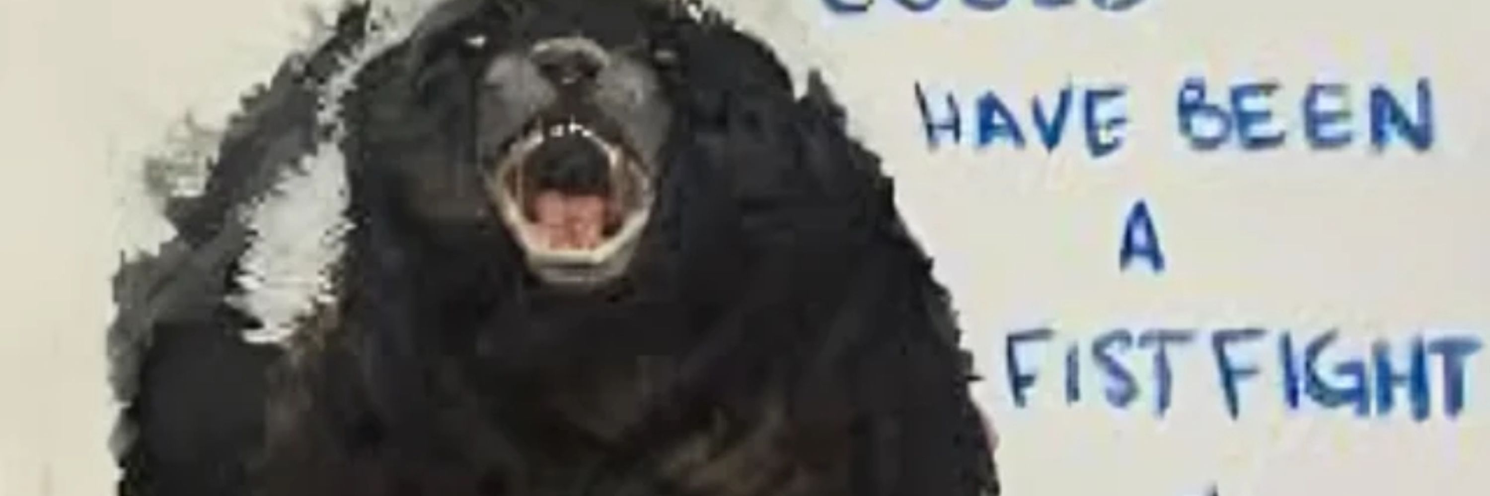 Furious Sheep